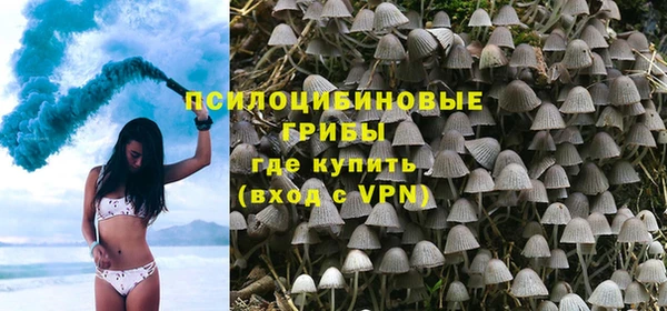 PSILOCYBIN Алексин
