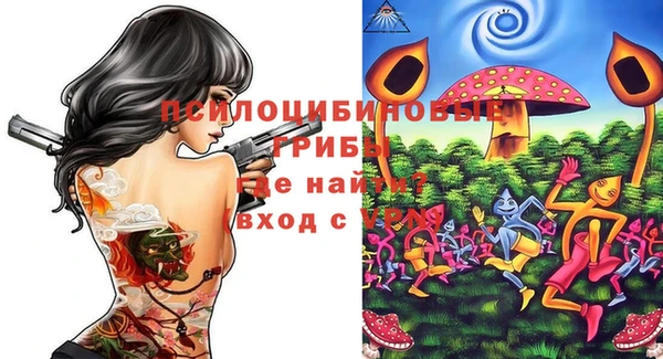 метамфетамин Алексеевка