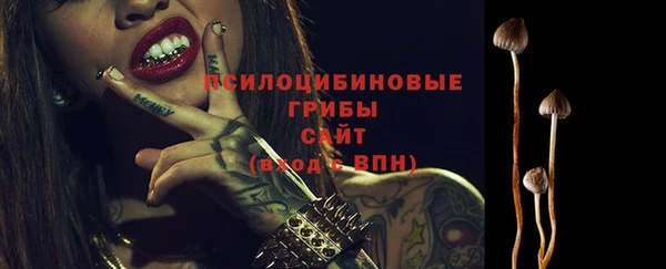 PSILOCYBIN Алексин