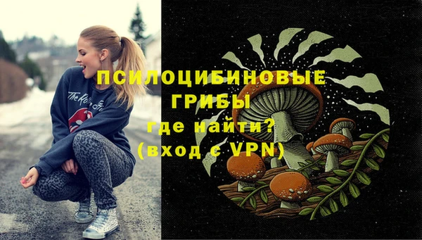 гидропоника Алзамай