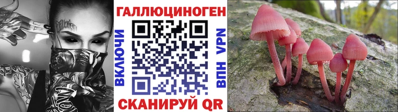 купить  сайты  Нолинск  Псилоцибиновые грибы ЛСД 